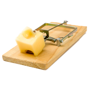 Mouse trap PNG-28455